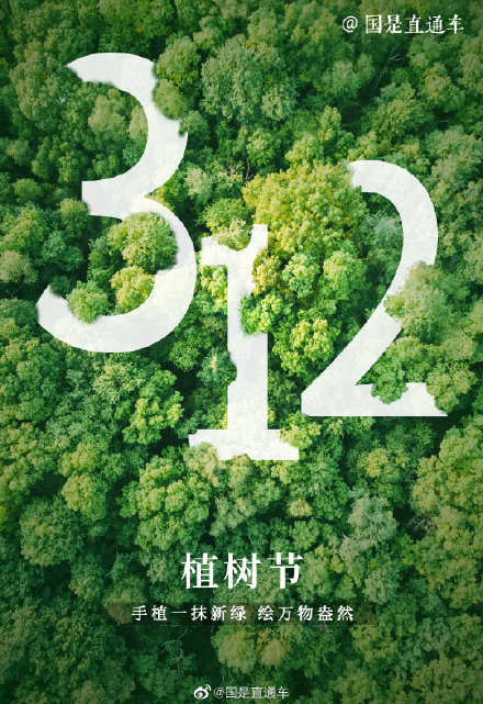 关于“树语”你知道多少 关于“树语”你知道多少