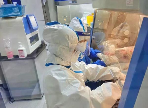 核酸采样后6小时,你的标本经历了啥? 核酸采样后6小时,你的标本经历了啥?