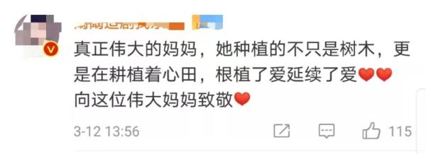 20年种树1000万棵，上海失独妈妈把思念都种进了沙漠