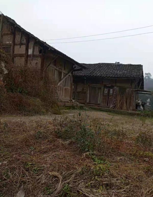 湖南媳妇打的第52个电话通了：希望何炅能收到我的照片