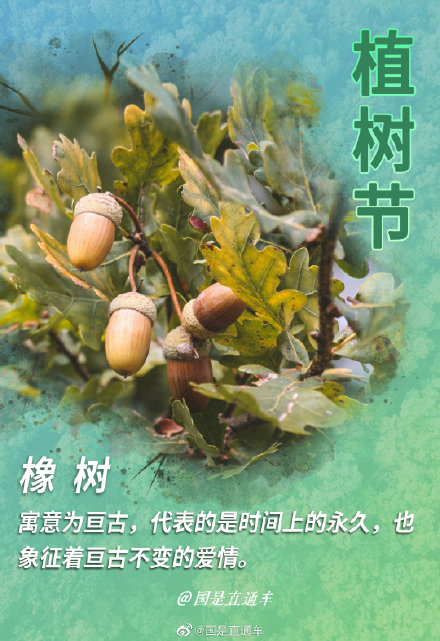 关于“树语”你知道多少 关于“树语”你知道多少