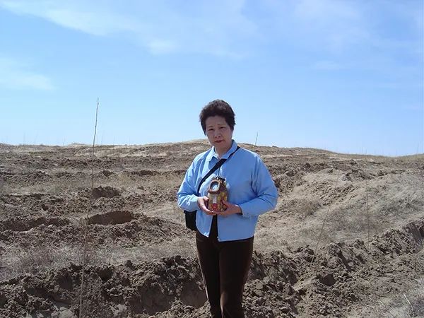 20年种树1000万棵，上海失独妈妈把思念都种进了沙漠