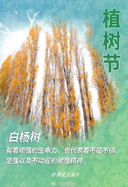 关于“树语”你知道多少 关于“树语”你知道多少