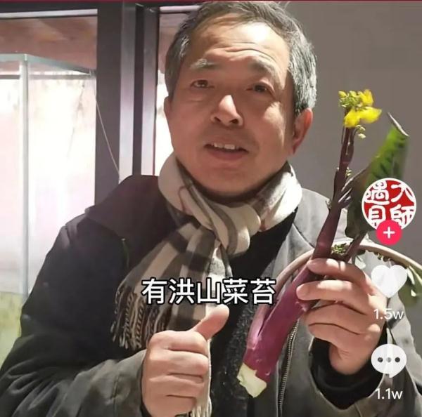 听说菜薹是湖北特产，网友吵翻！