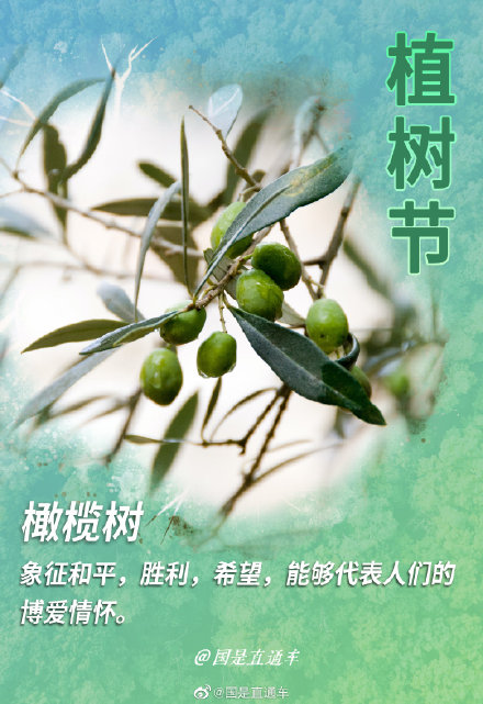 关于“树语”你知道多少 关于“树语”你知道多少