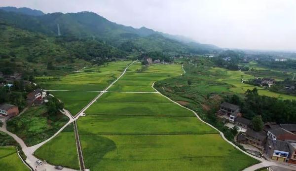 湖南媳妇打的第52个电话通了：希望何炅能收到我的照片