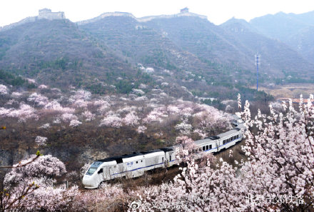 三月，北京市郊铁路S2线这份春日赏花攻略提前送您