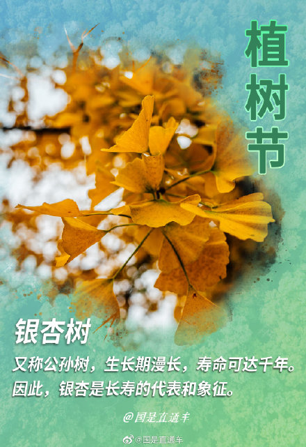 关于“树语”你知道多少 关于“树语”你知道多少