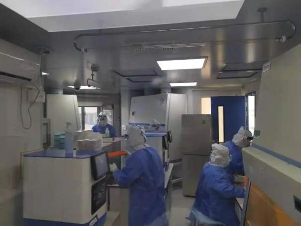 核酸采样后6小时,你的标本经历了啥? 核酸采样后6小时,你的标本经历了啥?