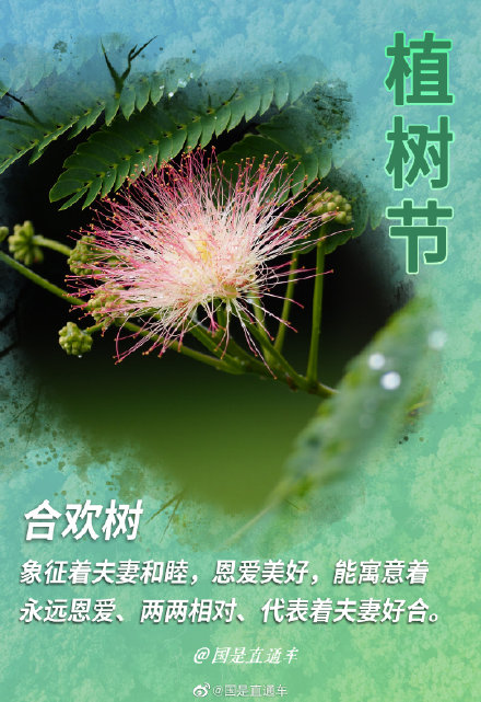 关于“树语”你知道多少 关于“树语”你知道多少