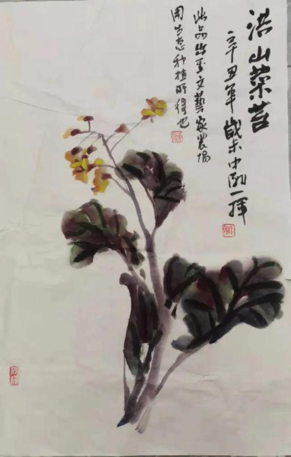 听说菜薹是湖北特产，网友吵翻！