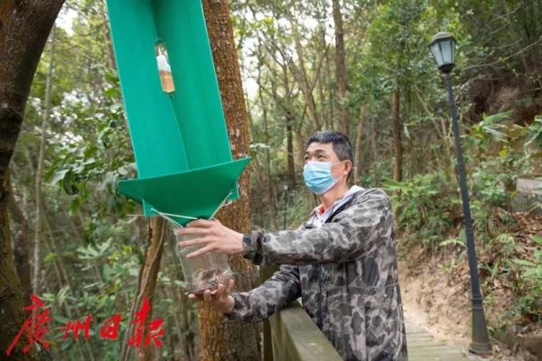 “树木医生”和他的8万亩山林