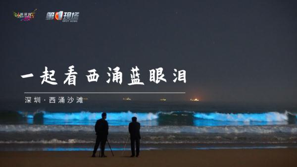 深圳现蓝色“荧光海”，宛如天际星河！
