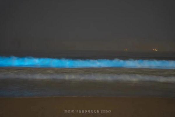 深圳现蓝色“荧光海”，宛如天际星河！