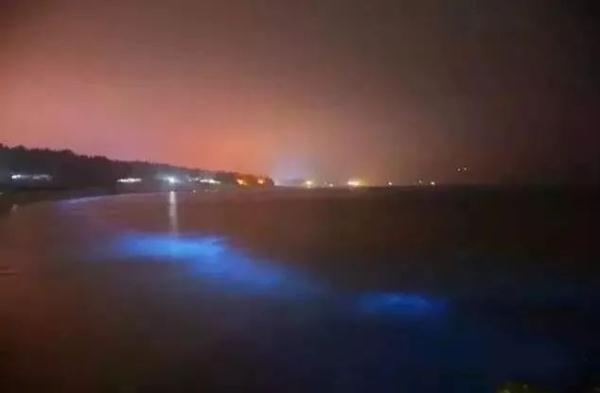 深圳现蓝色“荧光海”，宛如天际星河！