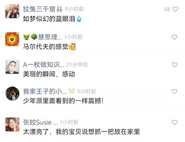 深圳现蓝色“荧光海”，宛如天际星河！