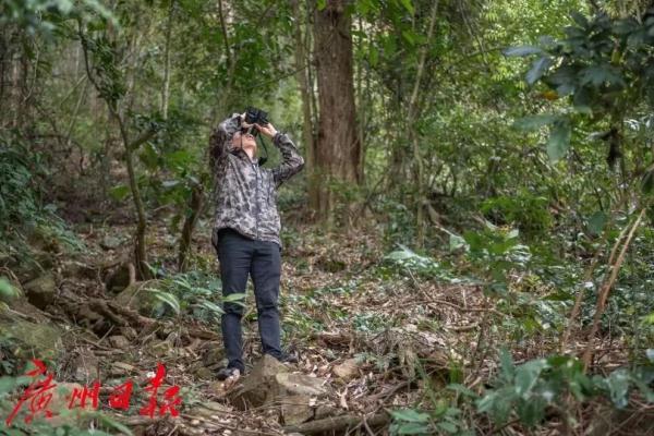 “树木医生”和他的8万亩山林