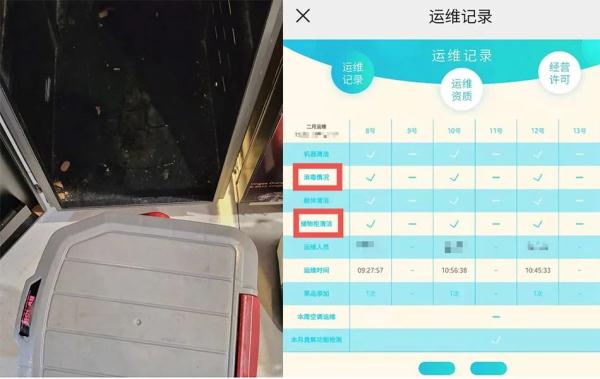 卧底天使之橙｜“蟑螂有什么可大惊小怪的？”