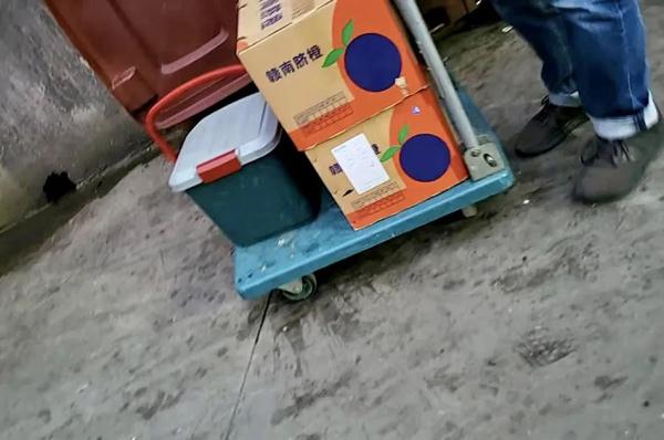 卧底天使之橙｜“蟑螂有什么可大惊小怪的？”