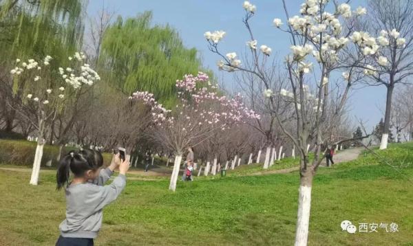 明天浮尘天气继续影响西安市 16日春雨来除尘 明天浮尘天气继续影响西安市 16日春雨来除尘