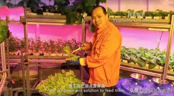 在南极，中国科考队把隔壁邻居馋哭了