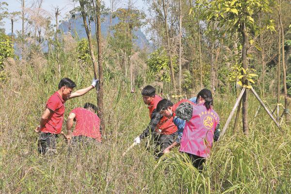 广西黑水河国家湿地公园新增湿地植物48种