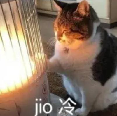 沈阳下周两次雨雪+低温！降温一直持续到……