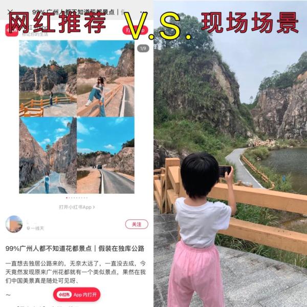 社交平台“杂草”多 这些虚假“种草”需拔一拔！