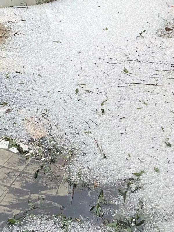 都江堰崇州突降冰雹 鹌鹑蛋那么大！