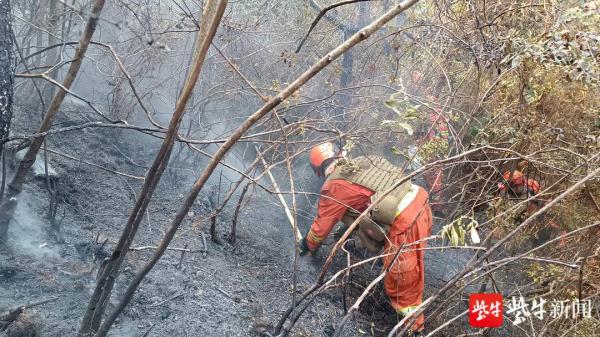 “敬礼!”武警官兵与森林消防员火场相遇,火场传回的画面令人感动 “敬礼!”武警官兵与森林消防员火场相遇,火场传回的画面令人感动