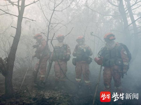 “敬礼!”武警官兵与森林消防员火场相遇,火场传回的画面令人感动 “敬礼!”武警官兵与森林消防员火场相遇,火场传回的画面令人感动