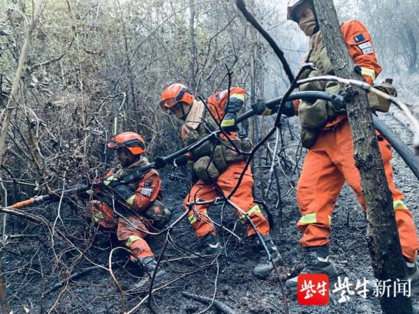 “敬礼!”武警官兵与森林消防员火场相遇,火场传回的画面令人感动 “敬礼!”武警官兵与森林消防员火场相遇,火场传回的画面令人感动