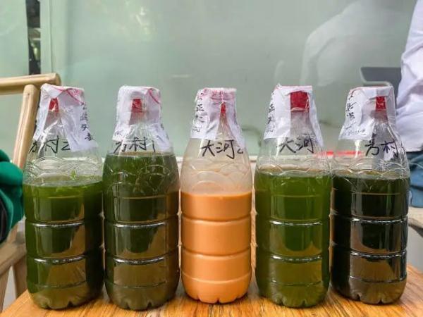 竟检出禁用成分!喝这些网红茶饮要小心 竟检出禁用成分!喝这些网红茶饮要小心