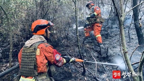 “敬礼!”武警官兵与森林消防员火场相遇,火场传回的画面令人感动 “敬礼!”武警官兵与森林消防员火场相遇,火场传回的画面令人感动