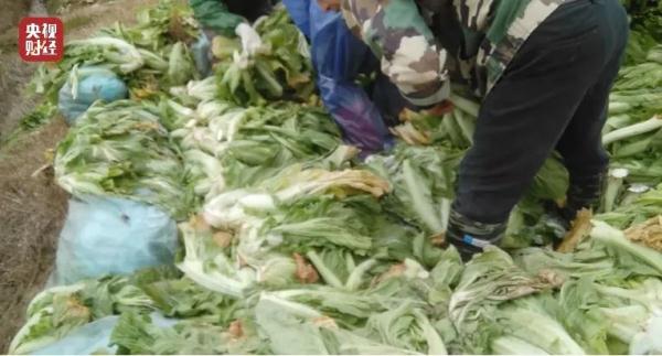 刚刚央视曝光，别再连这些免费WiFi了！部分场面触目惊心…