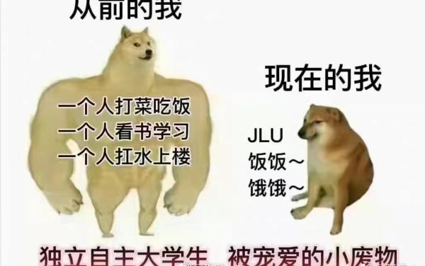 怕你饿又怕你胖！大学派体育生直播健身，网友：这课我也想上