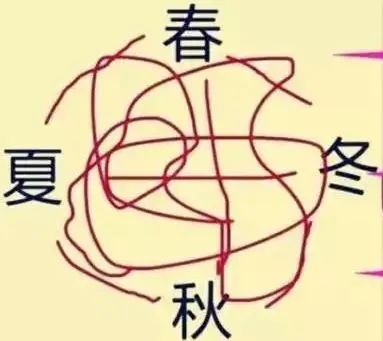 上海人，厚衣服别急着收！今日最高28℃，周日跌至个位数