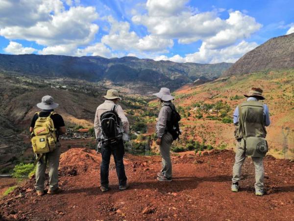 1.9亿年前这种身穿“铠甲”的恐龙，长啥样？