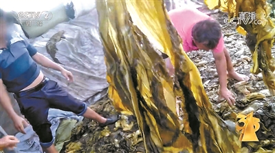 央视曝光土坑酸菜 统一、康师傅回应 央视曝光土坑酸菜 统一、康师傅回应