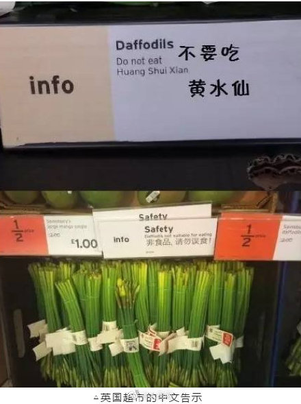 农家乐误把水仙当蒜苗致顾客中毒 农家乐误把水仙当蒜苗致顾客中毒