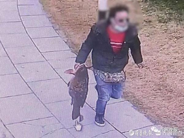 抓到了！有人偷钓大明湖20多斤重的胖鲤鱼，警方：拘13天