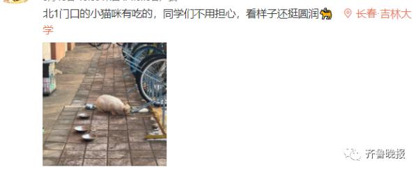 怕你饿又怕你胖！大学派体育生直播健身，网友：这课我也想上