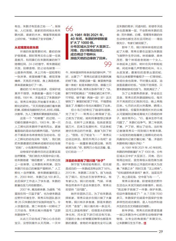 从7只到7000多只！她带“朱鹮”飞出绝境