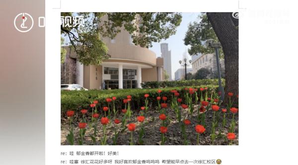 有歌有花有猫,多所高校“浪漫文档”疯传…… 有歌有花有猫,多所高校“浪漫文档”疯传……