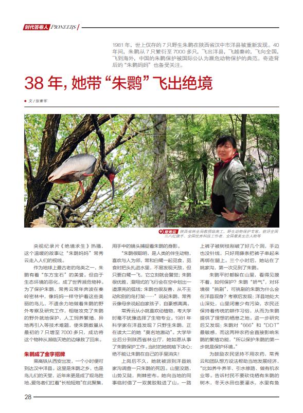 从7只到7000多只！她带“朱鹮”飞出绝境