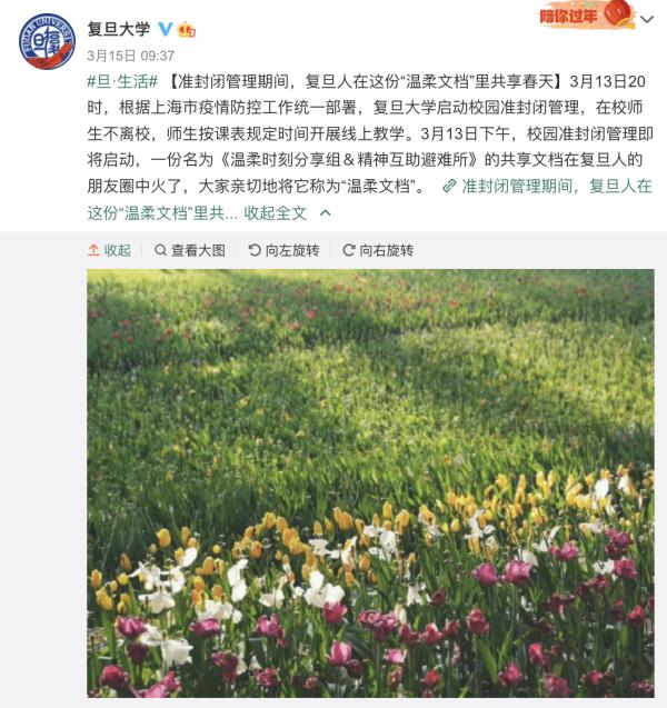 有歌有花有猫,多所高校“浪漫文档”疯传…… 有歌有花有猫,多所高校“浪漫文档”疯传……