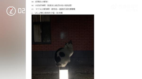 有歌有花有猫,多所高校“浪漫文档”疯传…… 有歌有花有猫,多所高校“浪漫文档”疯传……