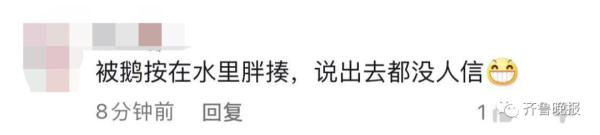 又惨又好笑，体育生游泳被黑天鹅暴打！发生在徐家汇公园？不实！