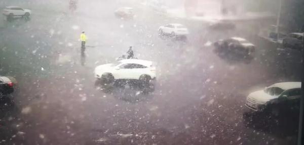 高速封了！天津的雪已经下成这样！