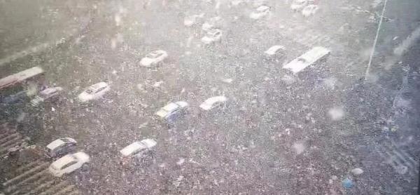 高速封了！天津的雪已经下成这样！